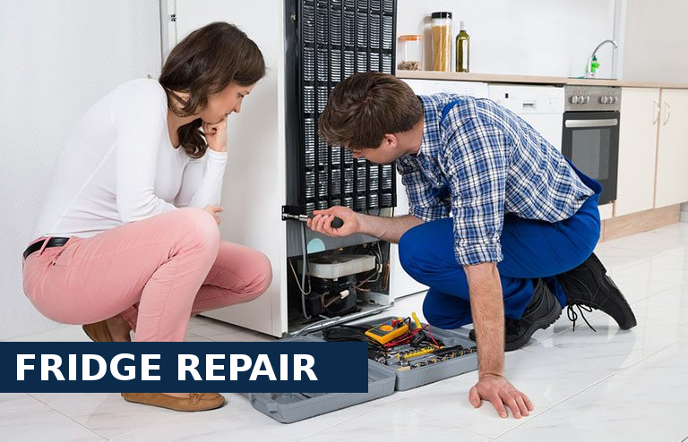 Fridge Repair Palmers Green